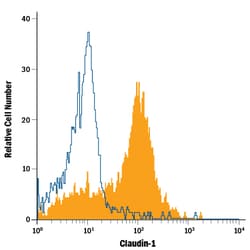 Human Claudin-1 APC-conjugated Antibody, R D Systems 100 Tests; APC:Antibodies,
