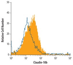 Human Claudin-10b Antibody, R D Systems 100ug; Unlabeled:Antibodies, Monoclonal