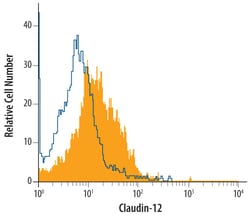 Human Claudin-12 Antibody, R D Systems 25&mu;g; Unlabeled:Antibodies, Monoclonal