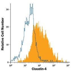 Human Claudin-4 APC-conjugated Antibody, R D Systems 100 Tests; APC:Antibodies,