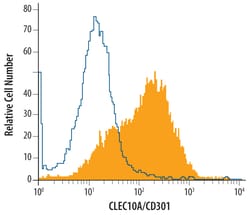 Human CLEC10A/CD301 Antibody, R D Systems 100ug; Unlabeled:Antibodies,