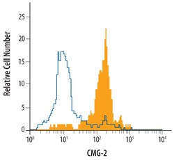 Human CMG-2/ANTXR2 Biotinylated Antibody, R D Systems 50&mu;g; Biotin:Antibodies,