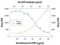 Rat CNTF Antibody, R D Systems 25&mu;g; Unlabeled:Antibodies, Monoclonal