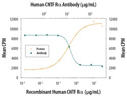 Human CNTFR alpha Antibody, R D Systems 100&mu;g; Unlabeled:Antibodies,