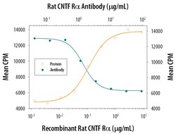 Rat CNTFR alpha Antibody, R D Systems 25&mu;g; Unlabeled:Antibodies, Polyclonal
