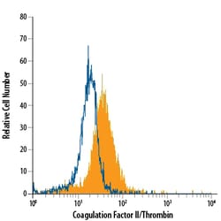 Human Coagulation Factor II/Thrombin Antibody, R D Systems 100&mu;g; Unlabeled:Antibodies,