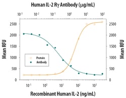 Human Common gamma Chain/IL-2 R gamma Antibody, R D Systems 25&mu;g; Unlabeled:Antibodies,