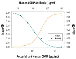 Human COMP/Thrombospondin-5 Antibody, R D Systems 25&mu;g; Unlabeled:Antibodies,