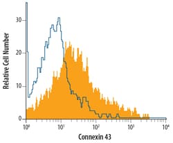 Human Connexin 43/GJA1 Antibody, R D Systems 100 &mu;g | Buy Online | R&D Systems | Fisher Scientific