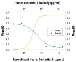 Human/Mouse/Rat Contactin-1 Antibody, R D Systems 25&mu;g; Unlabeled:Antibodies,