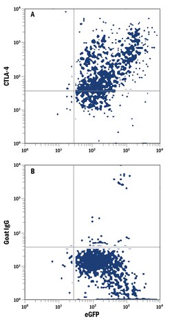Human CTLA-4 PE-conjugated Antibody, R D Systems 100 Tests; PE:Antibodies,