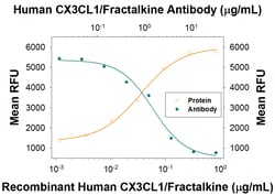 Human CX3CL1/Fractalkine Chemokine Domain Antibody, R D Systems 100&mu;g;