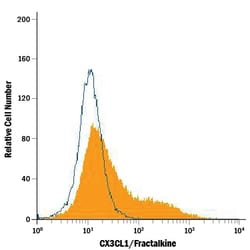 Mouse CX3CL1/Fractalkine PE-conjugated Antibody, R D Systems 25 Tests;