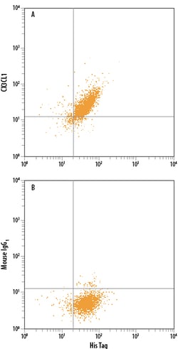Human CX3CL1/Fractalkine Chemokine Domain PE-conjugated Antibody, R D Systems