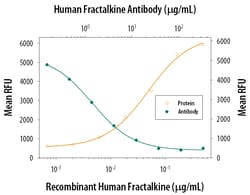 Human CX3CL1/Fractalkine Chemokine Domain Antibody, R D Systems:Antibodies:Primary