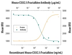 Mouse CX3CL1/Fractalkine Chemokine Domain Antibody, R D Systems 25&mu;g;