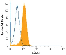 Human/Mouse CX3CR1 Antibody, R D Systems 25&mu;g; Unlabeled:Antibodies,
