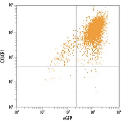 Mouse CX3CR1 PE-conjugated Antibody, R D Systems 25 Tests; PE:Antibodies,