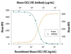 Mouse CXCL1/GRO alpha/KC/CINC-1 Antibody, R D Systems 100&mu;g; Unlabeled:Antistoffer