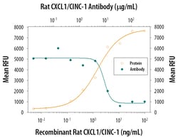 Rat CXCL1/GRO alpha/KC/CINC-1 Antibody, R D Systems:Antibodies:Primary