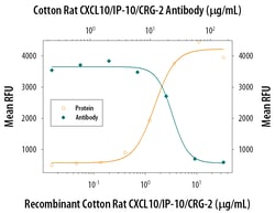 Cotton Rat CXCL10/IP-10/CRG-2 Antibody, R D Systems 25&mu;g; Unlabeled:Antibodies,