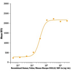 R D Systems Recombinant Human/Rhesus Macaque/Feline CXCL12/SDF-1 alpha 50 &mu;g | Buy Online | R&amp;D Systems&trade; | Fisher Scientific