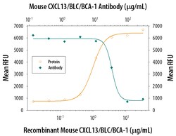 Mouse CXCL13/BLC/BCA-1 Antibody, R D Systems 25&mu;g; Unlabeled:Antibodies,