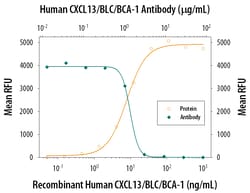 Human CXCL13/BLC/BCA-1 Antibody, R D Systems 25&mu;g; Unlabeled:Antibodies,
