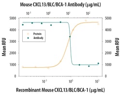 Mouse CXCL13/BLC/BCA-1 Antibody, R D Systems 100&mu;g; Unlabeled:Antibodies,