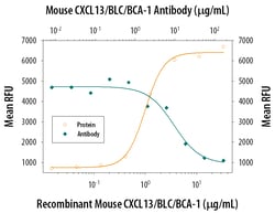 Mouse CXCL13/BLC/BCA-1 Antibody, R D Systems 100&mu;g; Unlabeled:Antibodies,