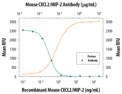 Mouse CXCL2/MIP-2 Antibody, R D Systems 100&mu;g; Unlabeled:Antibodies,