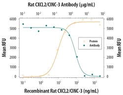 Rat CXCL2/GRO beta/MIP-2/CINC-3 Antibody, R D Systems 25&mu;g; Unlabeled:Antibodies,