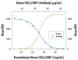Mouse CXCL2/GRO beta/MIP-2/CINC-3 Antibody, R D Systems 100&mu;g; Unlabeled:Antibodies,