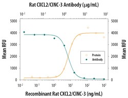 Rat CXCL2/GRO beta/MIP-2/CINC-3 Antibody, R D Systems 500ug; Unlabeled:Antibodies,