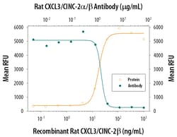 Rat CXCL3/CINC-2 alpha/beta Antibody, R D Systems 25&mu;g; Unlabeled:Antibodies,