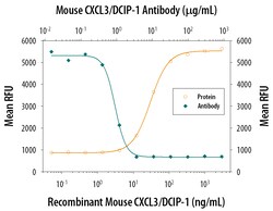Mouse CXCL3/GRO gamma/CINC-2/DCIP-1 Antibody, R D Systems 25&mu;g; Unlabeled:Antibodies,