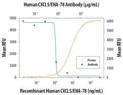 Human CXCL5/ENA-78 Antibody, R D Systems 100&mu;g; Unlabeled:Antibodies,