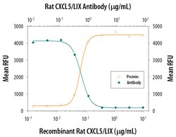 Rat LIX Antibody, R D Systems 100&mu;g; Unlabeled:Antibodies, Polyclonal