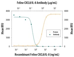 Feline IL-8/CXCL8 Antibody, R D Systems 100&mu;g; Unlabeled:Antibodies,