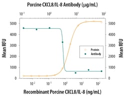 Porcine IL-8/CXCL8 Antibody, R D Systems 25 &mu;g | Buy Online | R&D Systems | Fisher Scientific