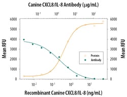 Canine IL-8/CXCL8 Antibody, R D Systems 25&mu;g; Unlabeled:Antibodies,
