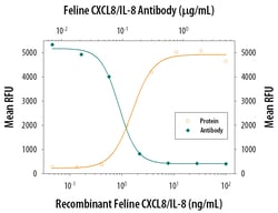 Feline IL-8/CXCL8 Antibody, R D Systems 25&mu;g; Unlabeled:Antibodies,