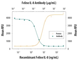 Feline IL-8/CXCL8 Antibody, R D Systems 500ug; Unlabeled:Antibodies, Monoclonal