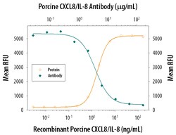 Porcine IL-8/CXCL8 Antibody, R D Systems:Antibodies:Primary Antibodies