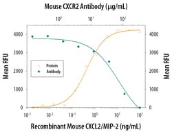 Mouse CXCR2/IL-8RB Antibody, R D Systems 25&mu;g; Unlabeled:Antibodies,