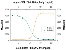 Human CXCR2/IL-8RB Antibody, R D Systems 100ug; Unlabeled:Antibodies, Monoclonal
