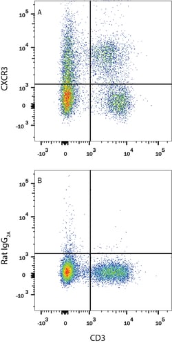 Mouse CXCR3 PE-conjugated Antibody, R D Systems:Antibodies:Primary Antibodies