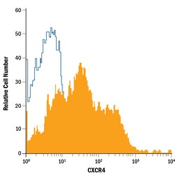 Mouse CXCR4 PE-conjugated Antibody, R D Systems 25 Tests; PE:Antibodies,