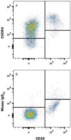 CXCR4 Mouse anti-Human, Clone: 12G5, R D Systems 25&mu;g; Unlabeled, Quantity: