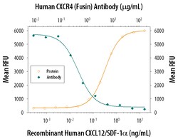 Human CXCR4 Antibody, R D Systems 100ug; Unlabeled:Antibodies, Monoclonal